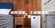 工业除湿机，工业抽湿机厂家