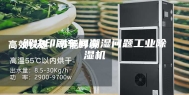 解决印刷车间潮湿问题工业除湿机