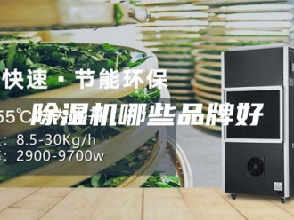 企业新闻除湿机哪些品牌好