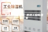 贵港家用除湿机 贵港工业除湿机厂家