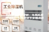 荆州市工业除湿机，车间库房抽湿机  配电房地下室抽湿器