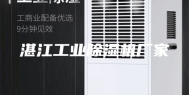 湛江工业除湿机厂家