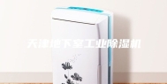 天津地下室工业除湿机