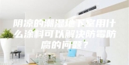 阴凉的潮湿地下室用什么涂料可以解决防霉防腐的问题？