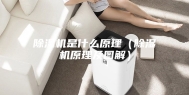 除湿机是什么原理（除湿机原理及图解）