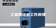 工业除湿机工作原理