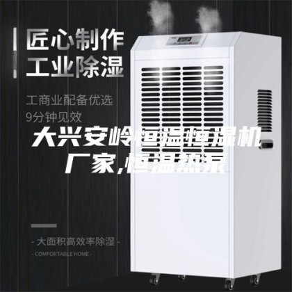 大兴安岭恒温恒湿机厂家,恒温热泵