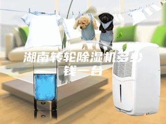 行业新闻湖南转轮除湿机多少钱一台