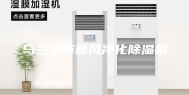 乌兰察布新风净化除湿机