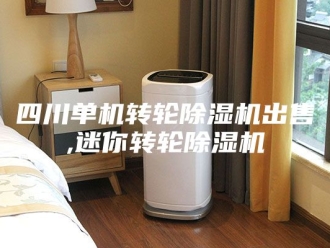 行业新闻四川单机转轮除湿机出售,迷你转轮除湿机