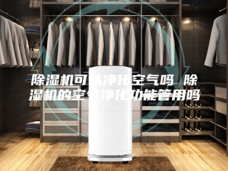 企业新闻除湿机可以净化空气吗 除湿机的空气净化功能管用吗