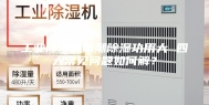 工业除湿机防潮除湿功用大 四大常见问题如何解？