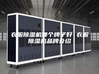 企业新闻衣服除湿机哪个牌子好 衣服除湿机品牌介绍
