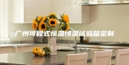 广州可程式恒温恒湿试验箱定制