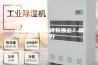 进口除湿器品牌有哪些？哪个好