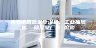 黄石市高低温除湿机，工业抽湿机  除湿器厂家 价格
