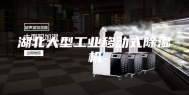 湖北大型工业移动式除湿机