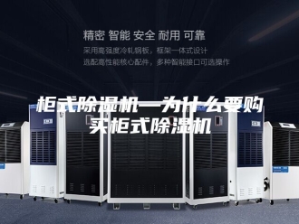 行业新闻柜式除湿机—为什么要购买柜式除湿机