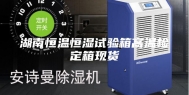 湖南恒温恒湿试验箱高温检定箱现货