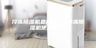 冷冻除湿机是什么（ 冷冻除湿机使用方法）