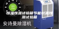 恒温恒湿试验箱节能恒温恒湿试验箱