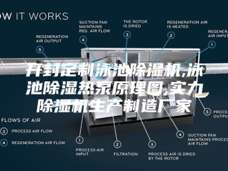 行业新闻开封定制泳池除湿机,泳池除湿热泵原理图,实力除湿机生产制造厂家