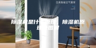 除湿机是什么原理，除湿机原理及图解