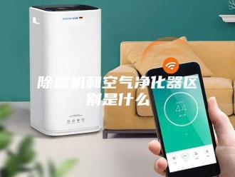 企业新闻除湿机和空气净化器区别是什么