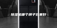 除湿机哪个牌子效果好