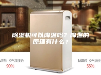 企业新闻除湿机可以降温吗？降温的原理有什么？