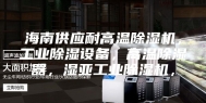 海南供应耐高温除湿机，工业除湿设备，高温除湿器，湿亚工业除湿机，