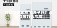 最佳除湿机哪个牌子好？品质口碑好人气高