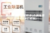 重庆调温除湿机批发(品牌推荐：2023已更新)