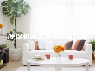 企业新闻除湿机漏水怎么处理方法