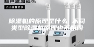 除湿机的原理是什么 不同类型除湿机原理也不相同