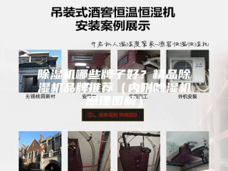 企业新闻除湿机哪些牌子好？精品除湿机品牌推荐（内附除湿机原理图解）