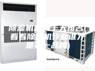 企业新闻除湿机品牌十大排名(看看除湿机行业谁才是第一品牌)