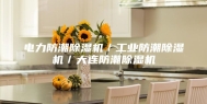 电力防潮除湿机／工业防潮除湿机／大连防潮除湿机