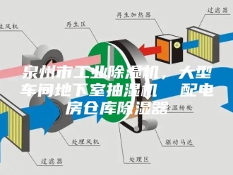 企业新闻泉州市工业除湿机，大型车间地下室抽湿机  配电房仓库除湿器