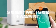 除湿机哪个好用（除湿机十大品牌排名）