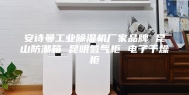 安诗曼工业除湿机厂家品牌 昆山防潮箱 昆明氮气柜 电子干燥柜
