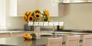 除湿器最新摘要