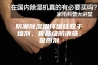 防潮除湿用环保硅胶干燥剂，食品级防潮珠，吸附剂