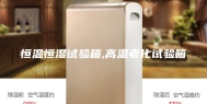恒温恒湿试验箱,高温老化试验箱
