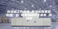 除湿机工作原理 除湿机需要多少钱一台 你想知道的全都有 除湿机