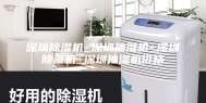 深圳除湿机±深圳抽湿机±深圳除湿机±深圳抽湿机价格