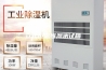 立式恒温恒湿测试箱