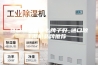 进口除湿机什么牌子好_进口除湿机品牌推荐