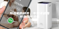除湿机的种类，专家详述如何选择除湿机
