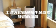 工业大风扇是奶牛场降温除湿的神器